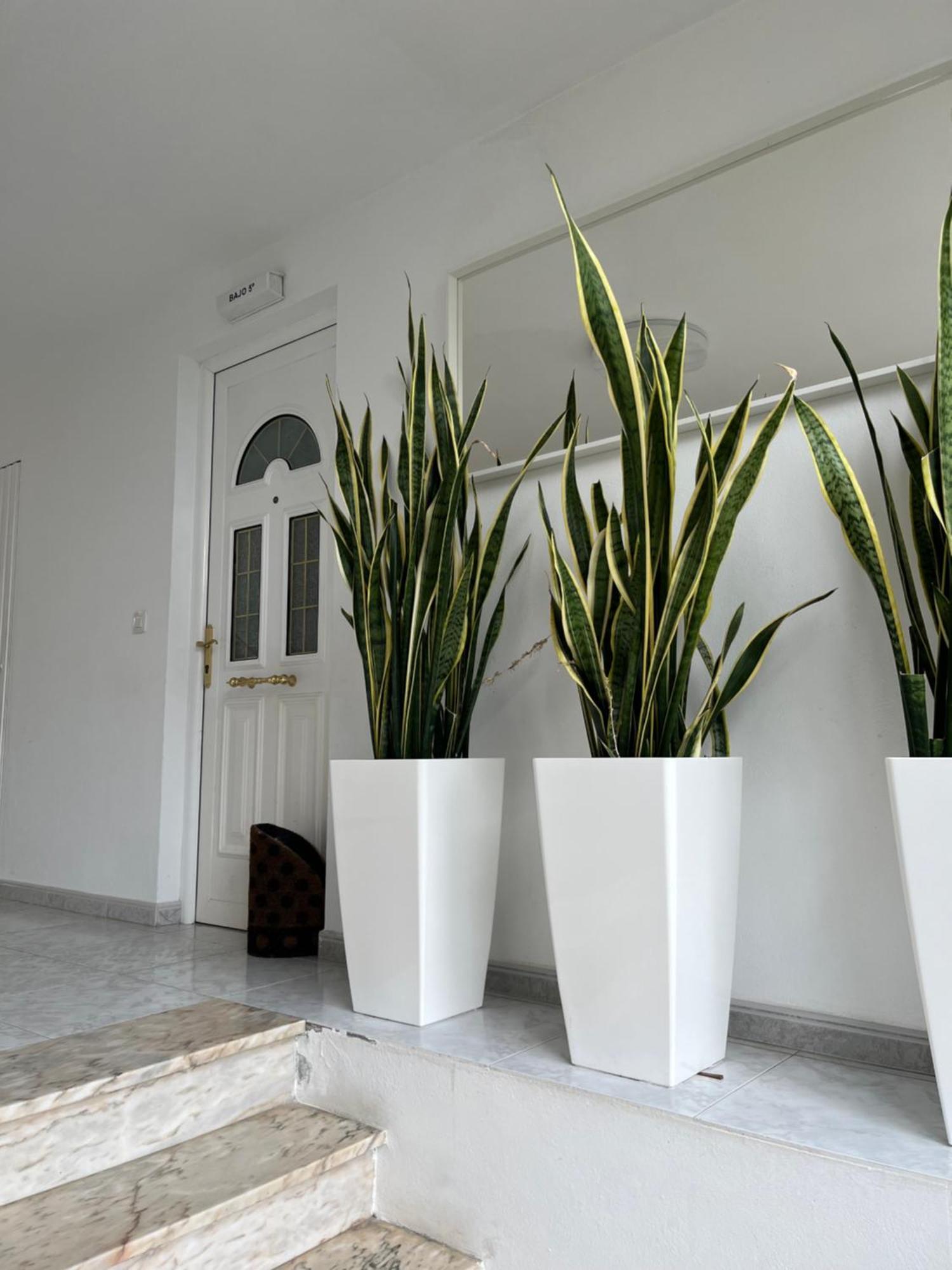 Apartamento En Sardineiro, Finisterre B5 Extérieur photo
